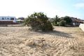 Property photo of 6 Temple Mews Iluka WA 6028