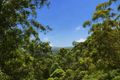 Property photo of 450 Upper Landershute Road Landers Shoot QLD 4555