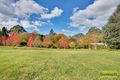 Property photo of 13 Rainbow Ravine Road Mount Tomah NSW 2758