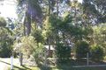 Property photo of 3 Tallawong Close Beerwah QLD 4519