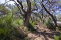 Property photo of 28 Stringybark Drive Torquay VIC 3228