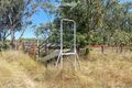 Property photo of 739 New Valley Road Tingha NSW 2369