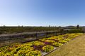 Property photo of 76 Windward Circuit Tea Gardens NSW 2324