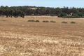 Property photo of 120 Oxford Terrace Riverton SA 5412