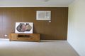 Property photo of 41 Pigeon Flat Road Bordertown SA 5268