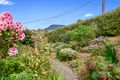 Property photo of 31 Walker Street Rosetta TAS 7010