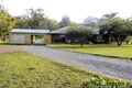 Property photo of 55 Brushbox Crescent Yarravel NSW 2440