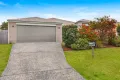 Property photo of 17 Benwerrin Street Pimpama QLD 4209