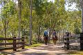 Property photo of 217 Zingelmann Road Milbong QLD 4310
