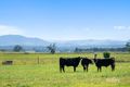 Property photo of 609C Hambledon Hill Road Hambledon Hill NSW 2330