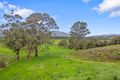 Property photo of 295 Old Warburton Highway Woori Yallock VIC 3139