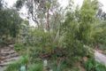 Property photo of 103 Richardson Road Croydon North VIC 3136