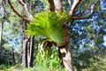 Property photo of 734 Bendalong Road Conjola NSW 2539