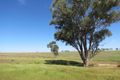 Property photo of 264 Heatherbrae Road Geurie NSW 2818