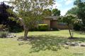Property photo of 19 Lawson Avenue Camden South NSW 2570