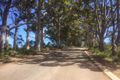 Property photo of 100 Cussons Road Shadforth WA 6333