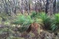 Property photo of 68 Gap Road Riddells Creek VIC 3431