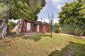 Property photo of 23 Thomas Street Ashfield NSW 2131