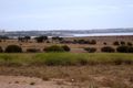 Property photo of 31 Mabie Road Streaky Bay SA 5680
