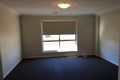 Property photo of 31 Songlark Crescent Thurgoona NSW 2640