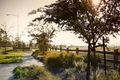 Property photo of 6 Stanton Street Wallan VIC 3756
