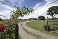 Property photo of 6 Lincoln Avenue Murrumbateman NSW 2582