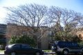 Property photo of 22/16 Darley Street East Mona Vale NSW 2103