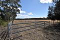 Property photo of 3162 New England Highway Scone NSW 2337