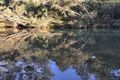 Property photo of 1043 Clarence Way Whiteman Creek NSW 2460