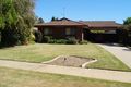 Property photo of 12 Dampier Avenue Shepparton VIC 3630
