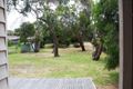 Property photo of 11 McMillan Street Anglesea VIC 3230