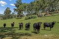 Property photo of 95 Watson Road Kobble Creek QLD 4520