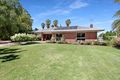 Property photo of 7 Etiwanda Street Renmark West SA 5341