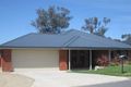 Property photo of 19 Redbox Drive Thurgoona NSW 2640