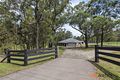 Property photo of 4 Retreat Road Wattle Ponds NSW 2330