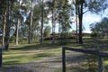 Property photo of 193-195 Peppertree Drive Jimboomba QLD 4280