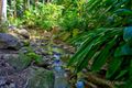 Property photo of 36 Goodwin Street Edge Hill QLD 4870