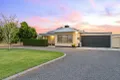 Property photo of 9 Nerrum Avenue Red Cliffs VIC 3496