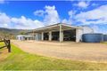 Property photo of 299-319 Stanton Road Neurum QLD 4514