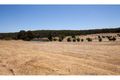 Property photo of 37 Gleneagles Drive Bridgetown WA 6255