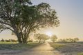 Property photo of LOT 1432 Napoleon Promenade Vasse WA 6280