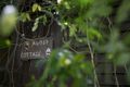Property photo of 10 Sublime Crescent Mount Pleasant NSW 2519