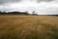 Property photo of 23 Old Stanley Road West Smithton TAS 7330