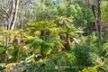 Property photo of 4360 Mansfield-Woods Point Road Kevington VIC 3723