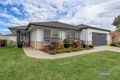 Property photo of 7 Leighanne Crescent Arundel QLD 4214