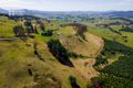 Property photo of 545 Mathinna Plains Road Ringarooma TAS 7263