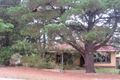 Property photo of 35 Amber Road Highbury SA 5089