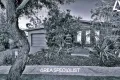 Property photo of 10 Warrenwood Place Langwarrin VIC 3910
