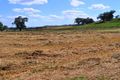 Property photo of 21 Wisemans Arm Road Garthowen NSW 2345