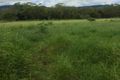 Property photo of 59 Majors Road Carmila QLD 4739